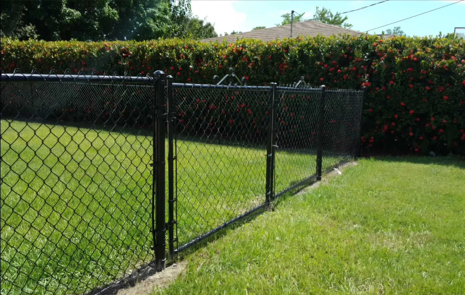 Durable Chain Link Fence